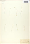 000061603-thumbnail.jpg