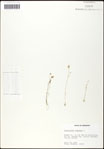 000061605-thumbnail.jpg