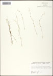 000061607-thumbnail.jpg