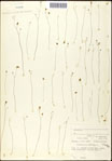 000061609-thumbnail.jpg