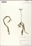 000061612-thumbnail.jpg