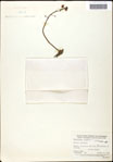 000061614-thumbnail.jpg