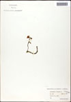 000061615-thumbnail.jpg