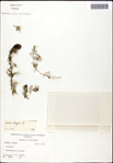 000061617-thumbnail.jpg