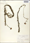 000061618-thumbnail.jpg