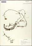 000061620-thumbnail.jpg