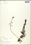 000061621-thumbnail.jpg
