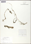 000061622-thumbnail.jpg