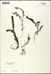 000061623-thumbnail.jpg