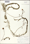 000061625-thumbnail.jpg