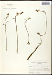 000061627-thumbnail.jpg