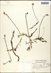 000061629-thumbnail.jpg