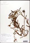 000061630-thumbnail.jpg
