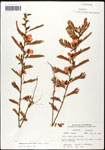 000061633-thumbnail.jpg