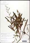 000061634-thumbnail.jpg