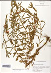 000061639-thumbnail.jpg