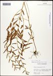 000061640-thumbnail.jpg