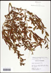 000061643-thumbnail.jpg