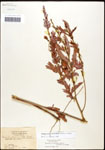 000061644-thumbnail.jpg