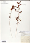 000061645-thumbnail.jpg