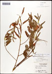 000061647-thumbnail.jpg