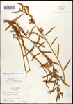 000061648-thumbnail.jpg