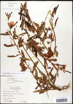 000061649-thumbnail.jpg