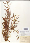 000061652-thumbnail.jpg