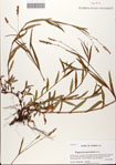000061820-thumbnail.jpg