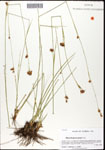 000061830-thumbnail.jpg