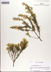 000061880-thumbnail.jpg