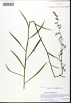 000061938-thumbnail.jpg