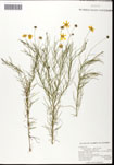 000061946-thumbnail.jpg