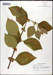 000061968-thumbnail.jpg