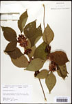 000061971-thumbnail.jpg