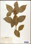 000061985-thumbnail.jpg
