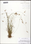 000062024-thumbnail.jpg