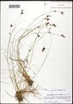 000062025-thumbnail.jpg
