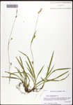 000062036-thumbnail.jpg