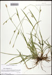 000062037-thumbnail.jpg