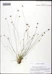 000062040-thumbnail.jpg