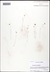 000062041-thumbnail.jpg