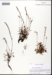 000062063-thumbnail.jpg