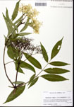 000062069-thumbnail.jpg