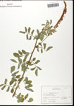 000062072-thumbnail.jpg