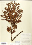 000062075-thumbnail.jpg
