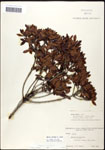 000062077-thumbnail.jpg
