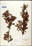 000062080-thumbnail.jpg