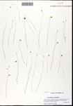 000062082-thumbnail.jpg