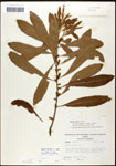 000062091-thumbnail.jpg